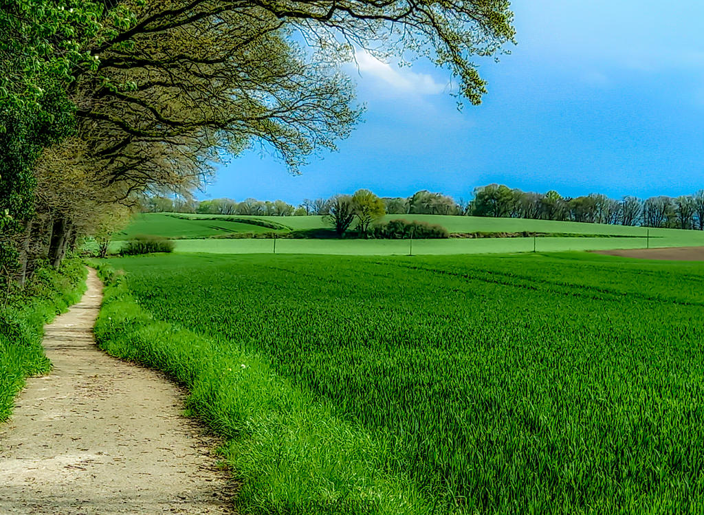 FOLLOW THE PATH by IME-Photography on DeviantArt