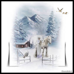 WINTER WONDERLAND