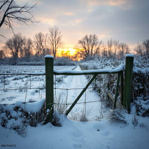 THE LAST DAY SNOW