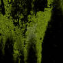 Punk Grunge Peeling Paint Green Black