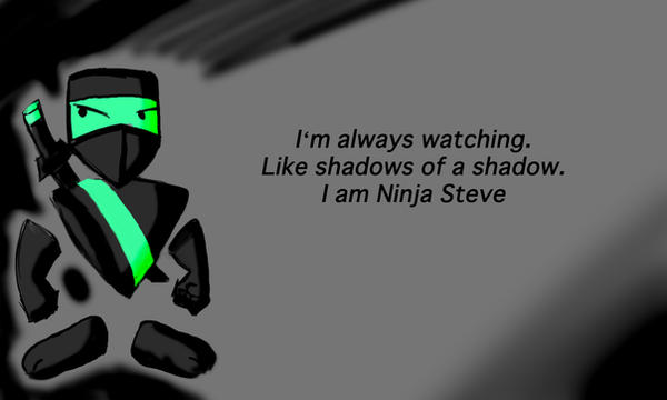 I am Ninja-Steve