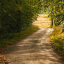 Follow the path