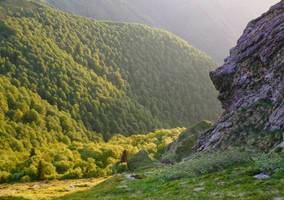 Mountain Morning