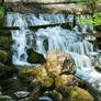 Pure Nature