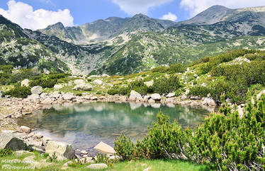 Pirin