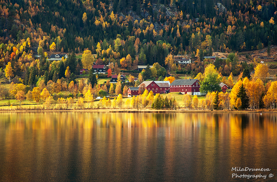 Norwegian Autumn