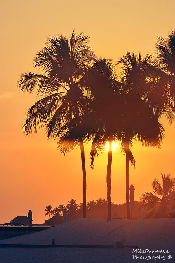 Maldivian sunset by Zelma1