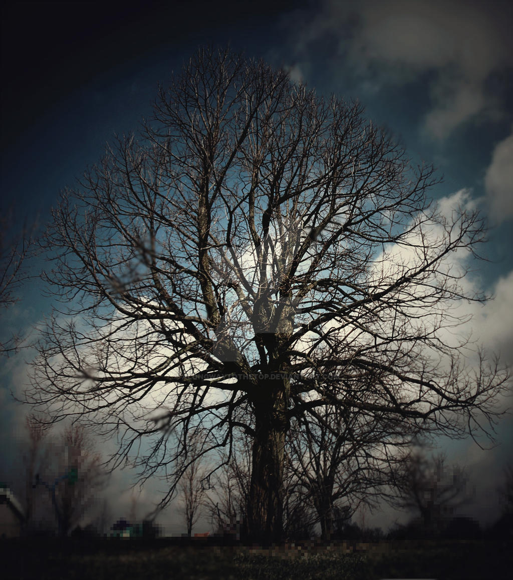 Rrrr Rrrr Rrrrr Tree TREEEEEEEEEEEEEEEEEEEEEEEE by alongwaytothetop on DeviantArt