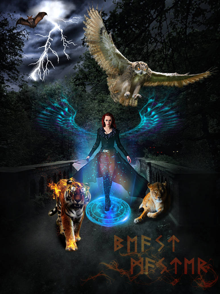 Beast Master Magic by AtsaL78 on DeviantArt