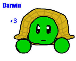 Darwin the turtle x3