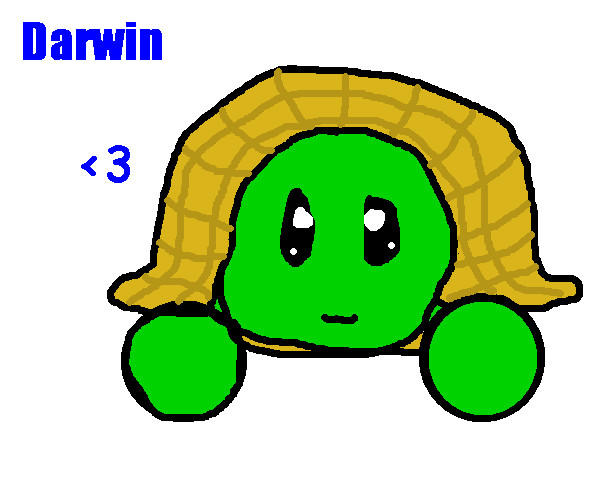 Darwin the turtle x3