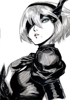 2B