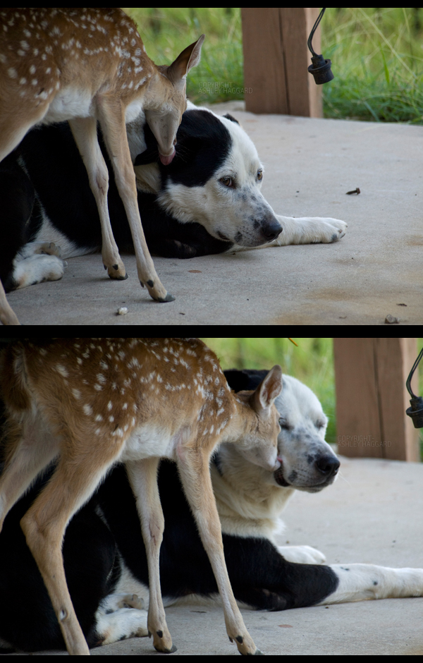 i love my mommy by elfins-creatures i love my mommy by elfins-creatures