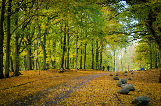 Autumm in Trollsjon