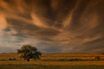 alone... by ubern00bish