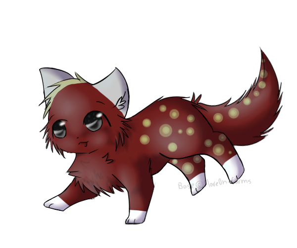 Red Kitten Adopt - OPEN!