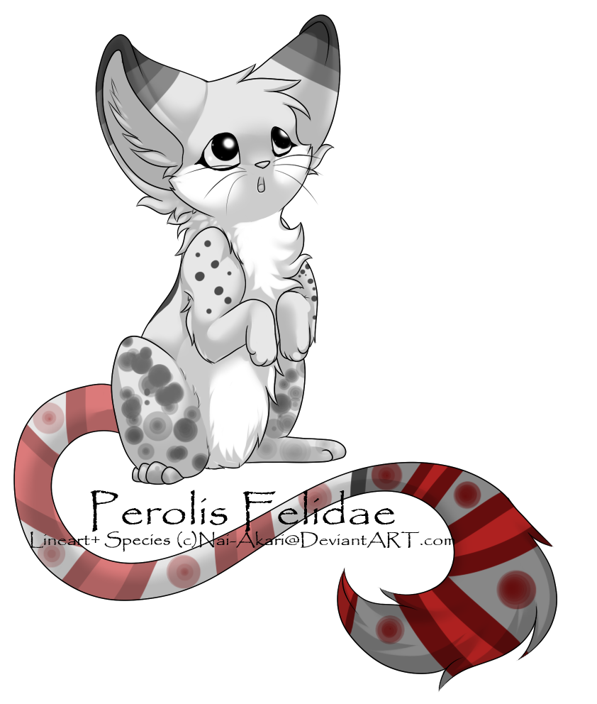 Snowy Perolis Felidae Adopt - CLOSED!