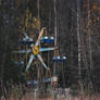 Abandoned Amusement