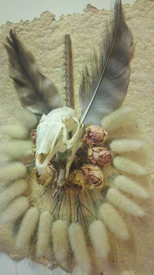 finsihed rabbit skull mount with wheat