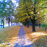 autum in warsaw