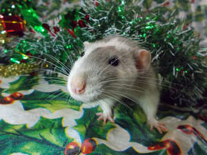 Hamuul Says Merry Christmas! by Izzy-Chu Hamuul Says Merry Christmas! by Izzy-Chu
