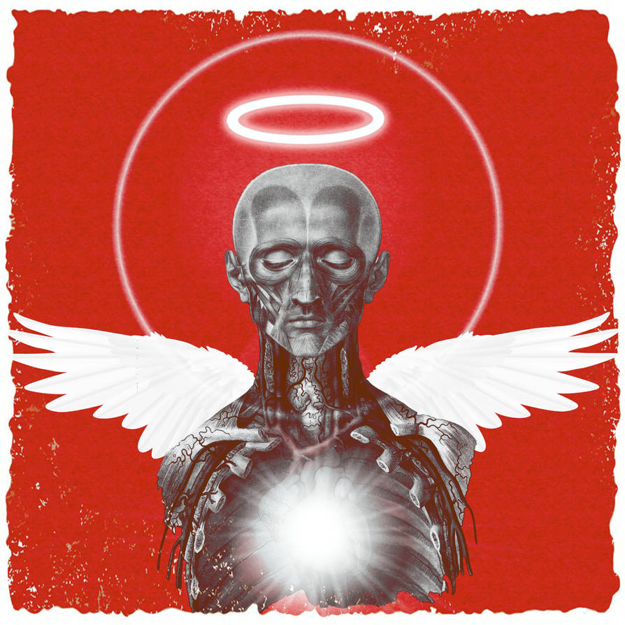 ANGELO by xdeadlightsx on DeviantArt