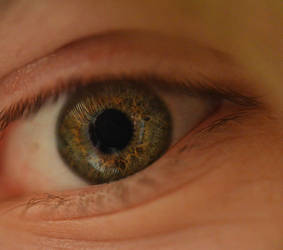 Gavin's Eye