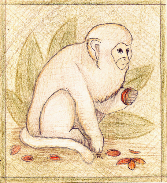 White monkey