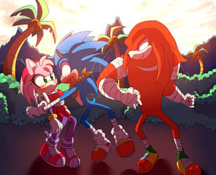 Knuckles supports sonamy