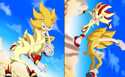 Majin Shadow vs Super Sonic(Dragonball z/STH) by gerarodmont