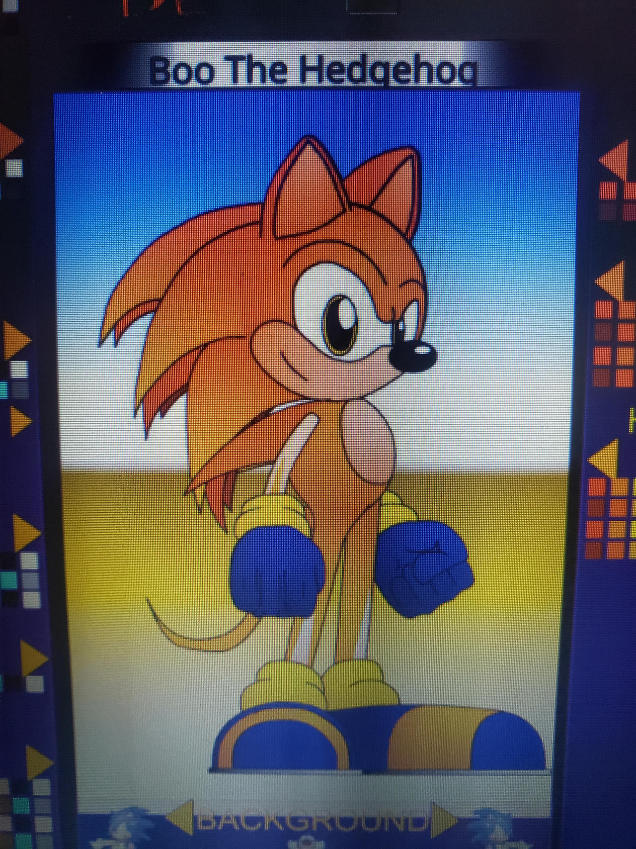 Boo Hc My OC Boo The Hedgehog by Zackthehoghedge19 on DeviantArt