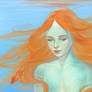 Goldfish with goldfishes