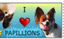 I Love Papillons Stamp
