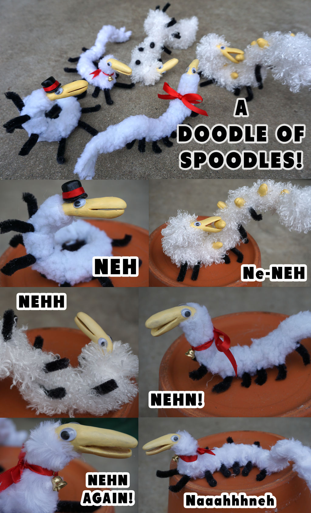 Spoodles in REAL LIFE