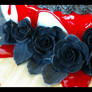 Black Roses Close-up