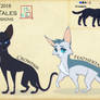 Crowpaw and Feathertail designs