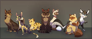 Tigerstar's Family Portrait