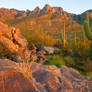 Pusch Ridge