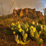 Clearing Haboob