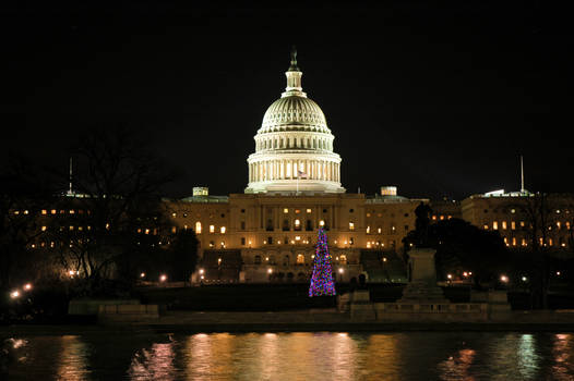 Capitol at night