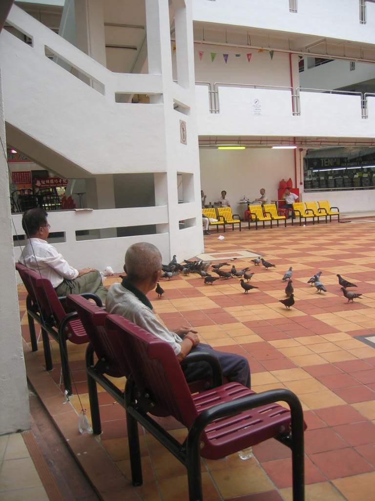 two guys and birds