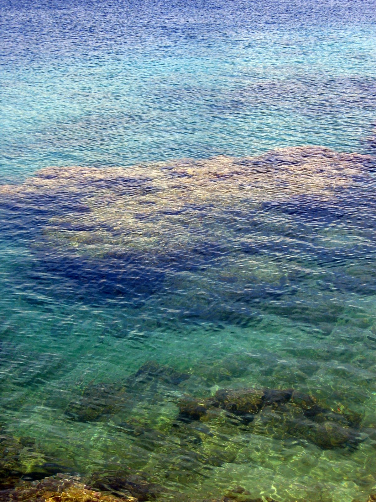 coral formations