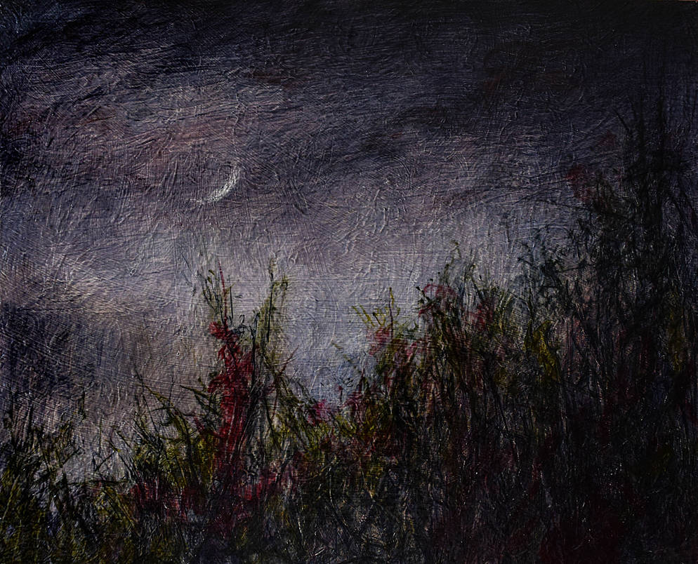 Moon Marsh by octonimoes on DeviantArt