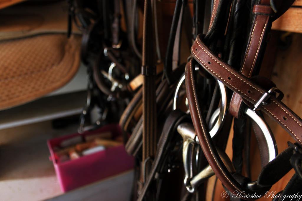 Tack Line by horsesrule730 on DeviantArt