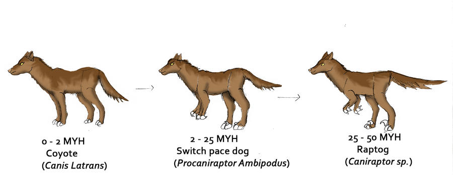 Raptog Evolution