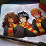 Harry, Ron and Hermione!