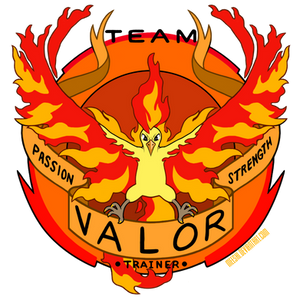 Team Valor