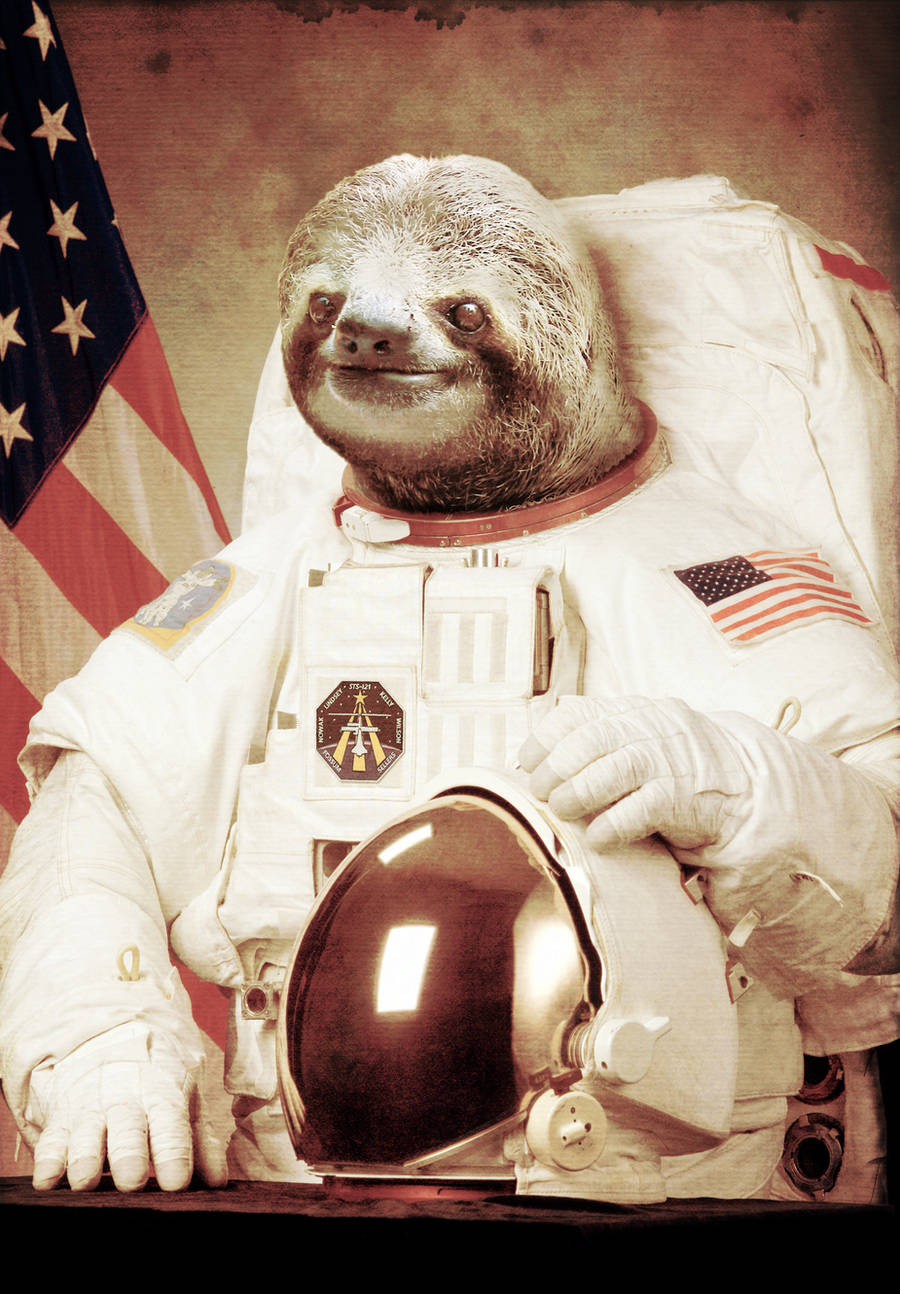 Sloth on the Moon by Bakus-design