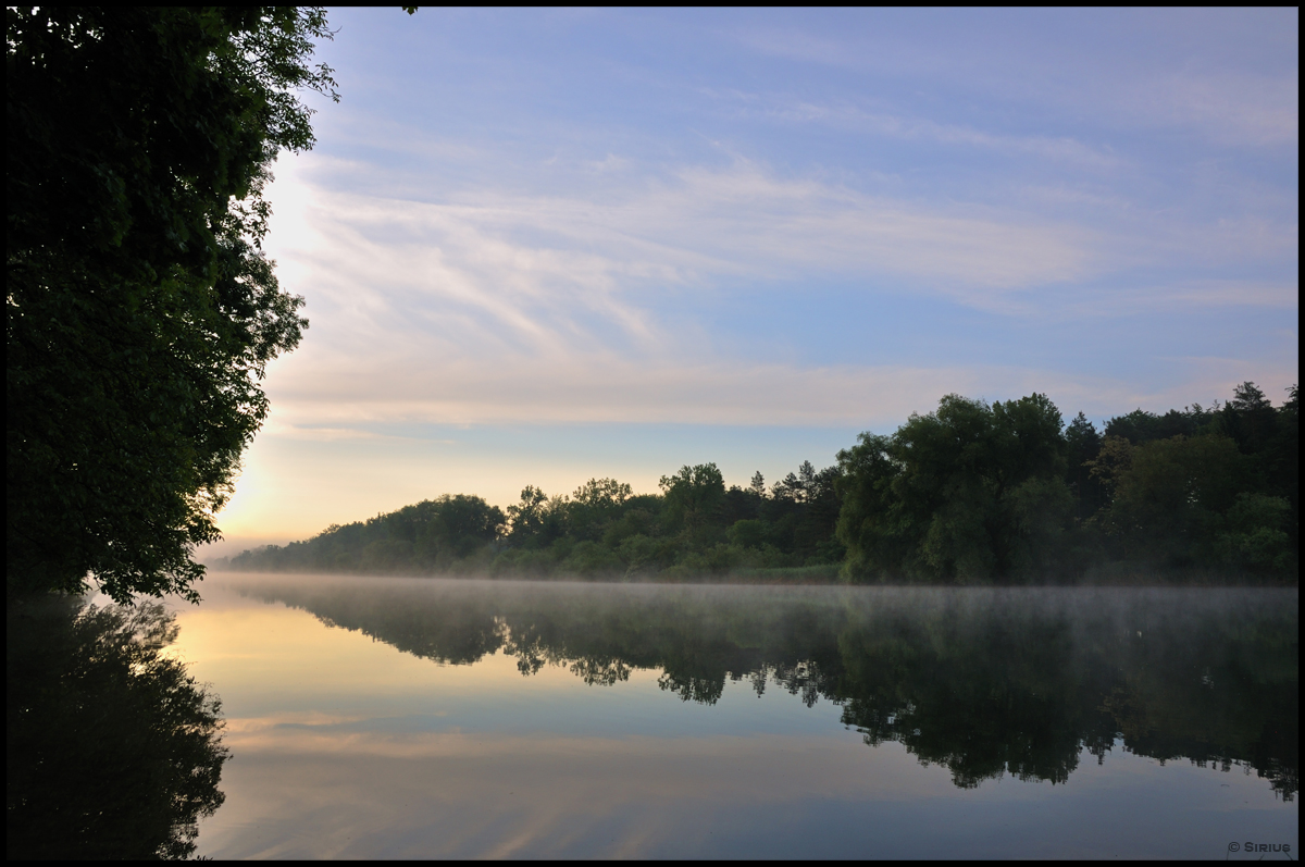 Foggy River