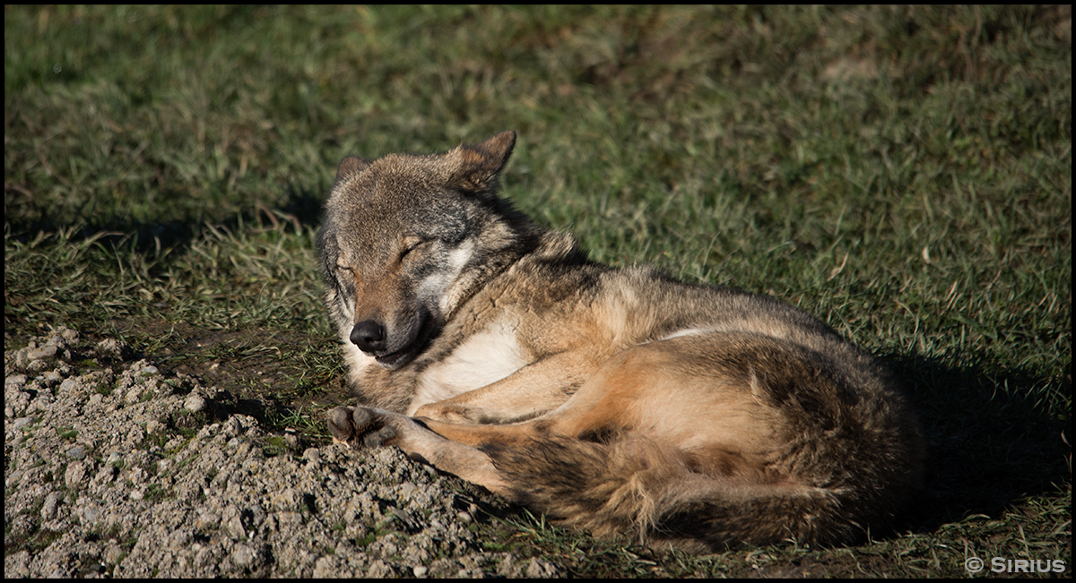 Sun bath